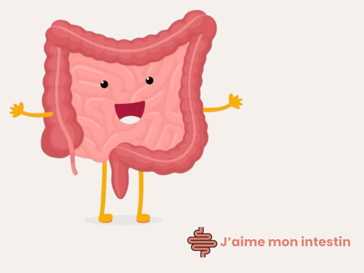 Se libérer du Syndrome de l'intestin irritable | Jaimemonintestin.com
